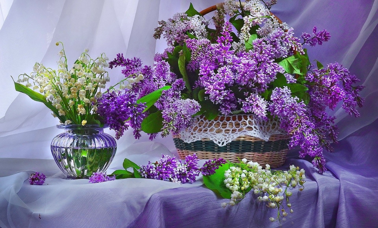 紫丁香与百合花篮