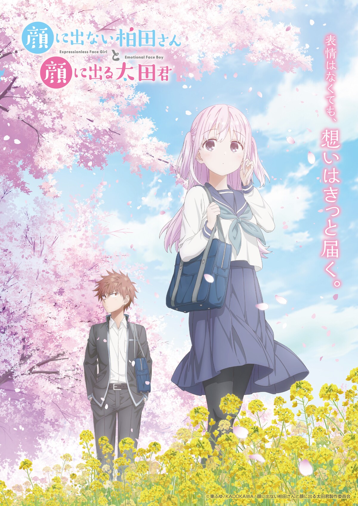 "Inexpressive Kashiwada and Expressive Oota" TV Anime Announced!