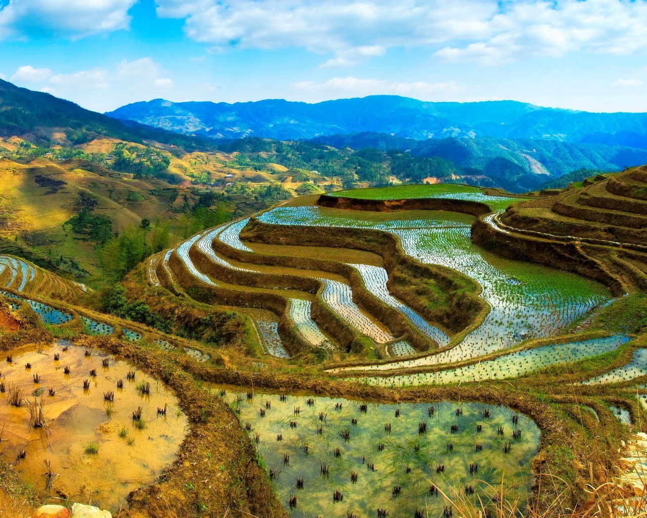 梯田