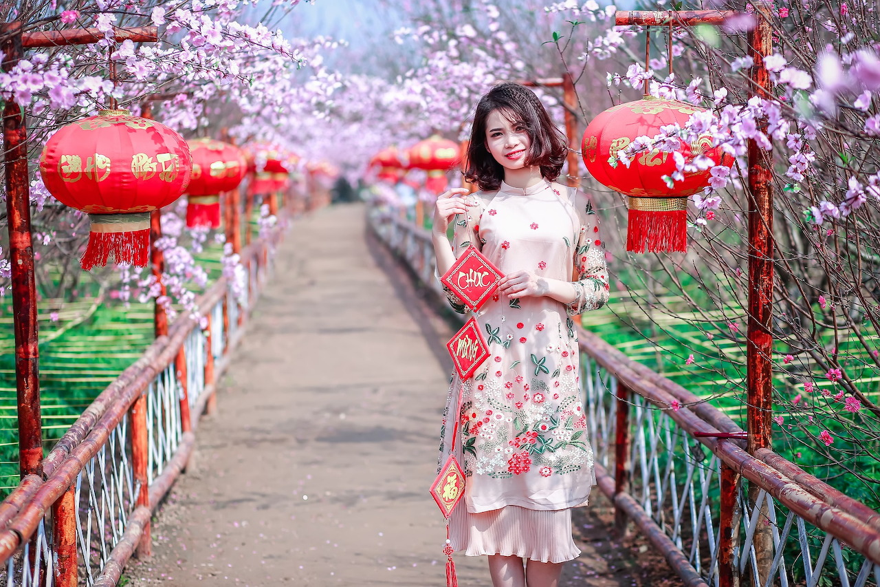 杏树盛开时，佳人如画