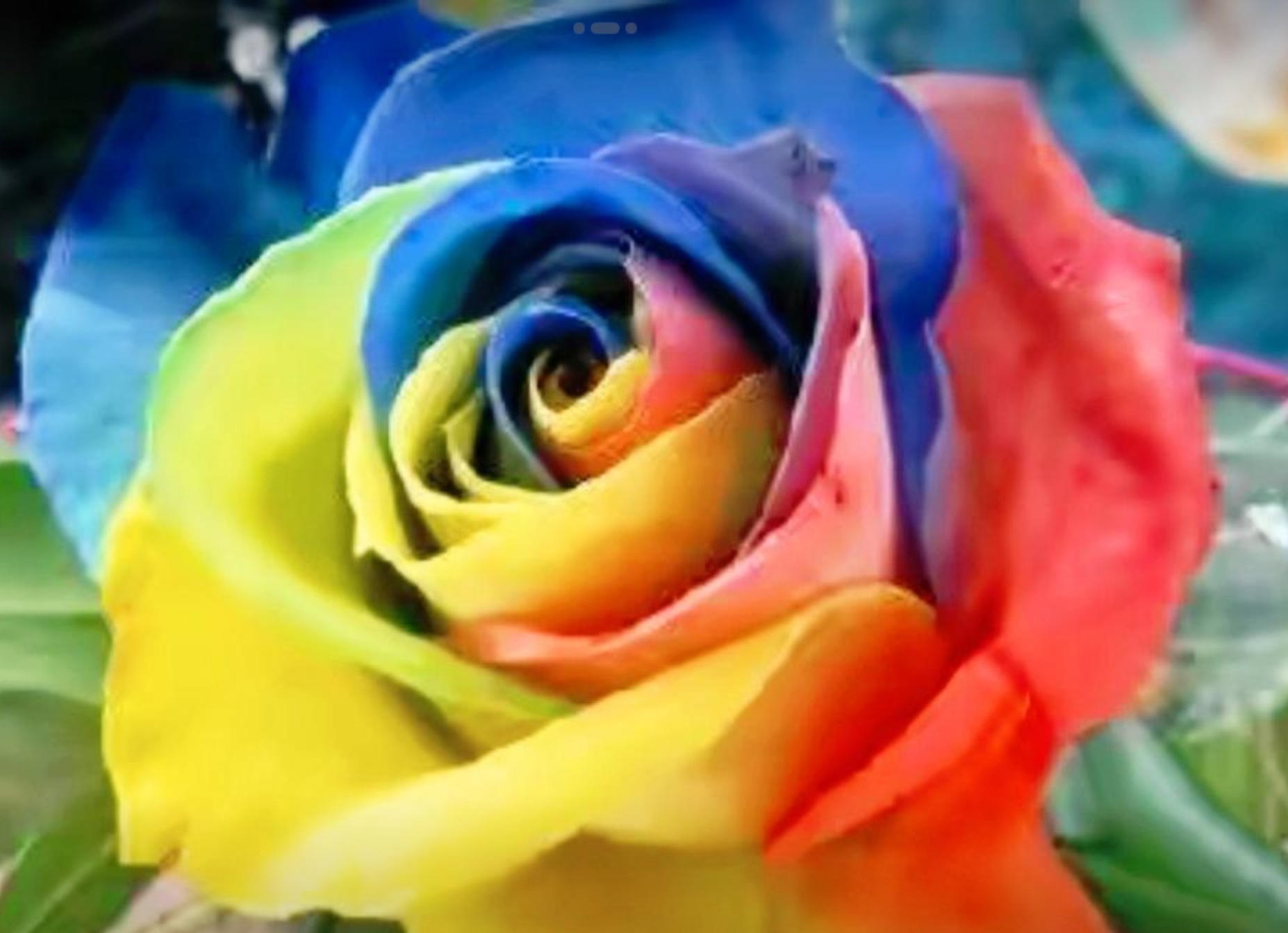 繁花似锦